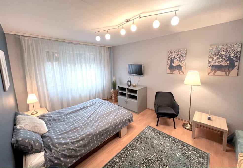 Pille Apartman 塞格德 外观 照片